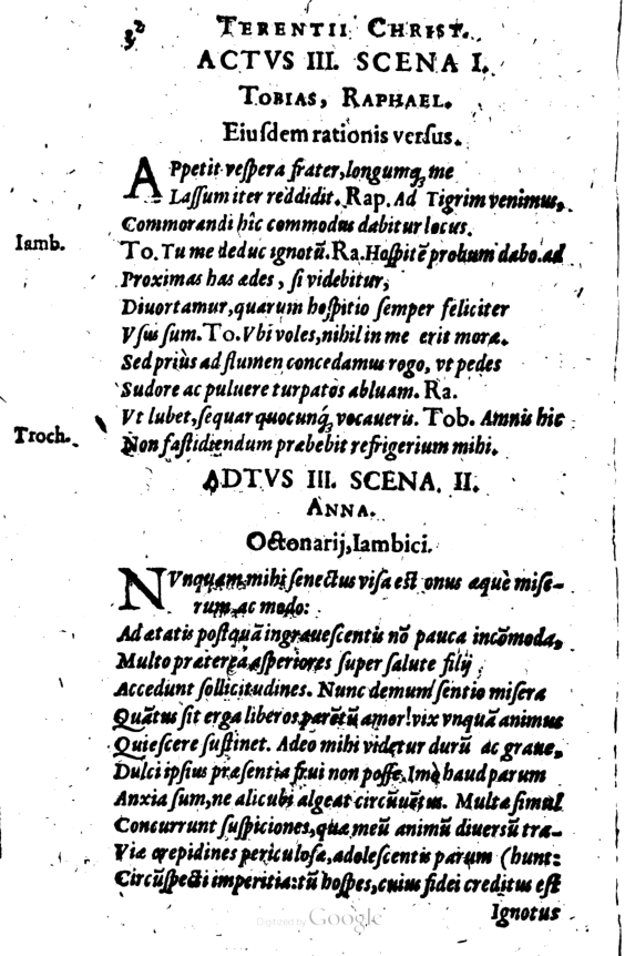 SchonaeusI1614232