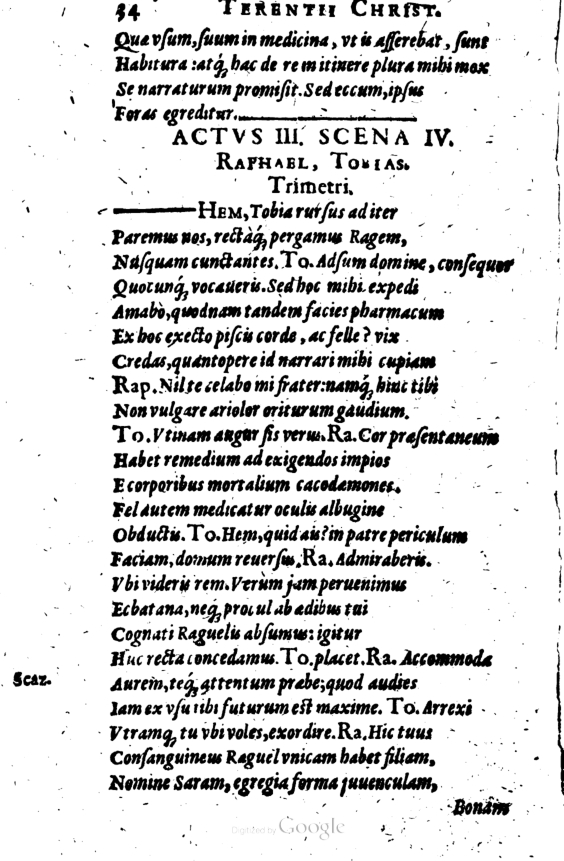 SchonaeusI1614234