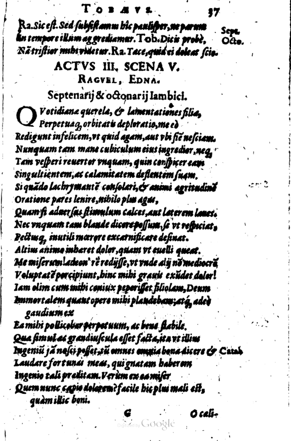 SchonaeusI1614237