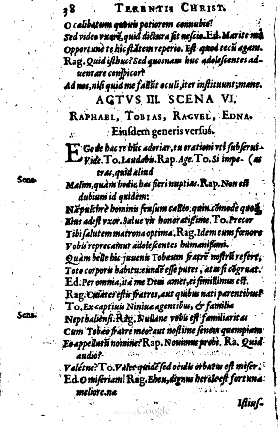 SchonaeusI1614238