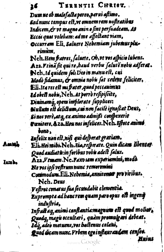 SchonaeusI1614336