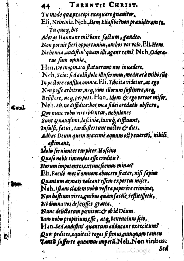 SchonaeusI1614344