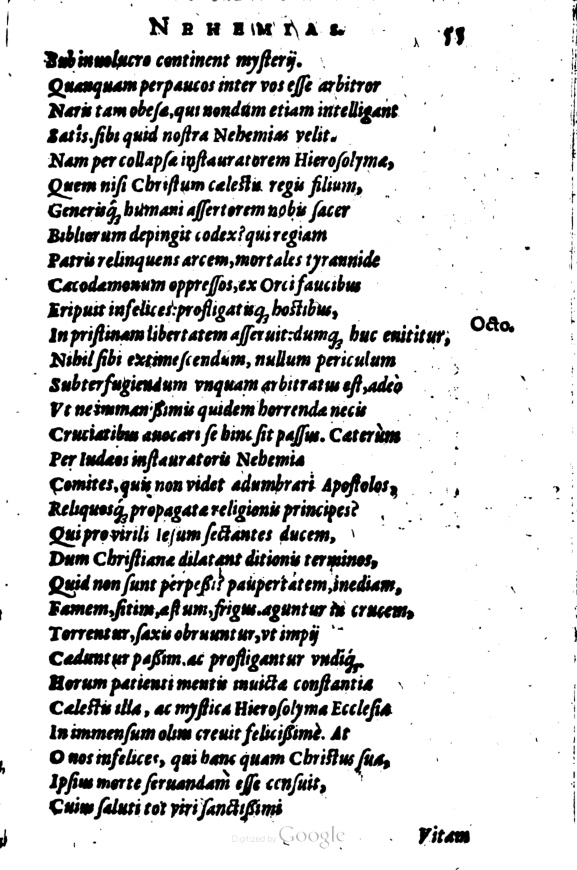 SchonaeusI1614355