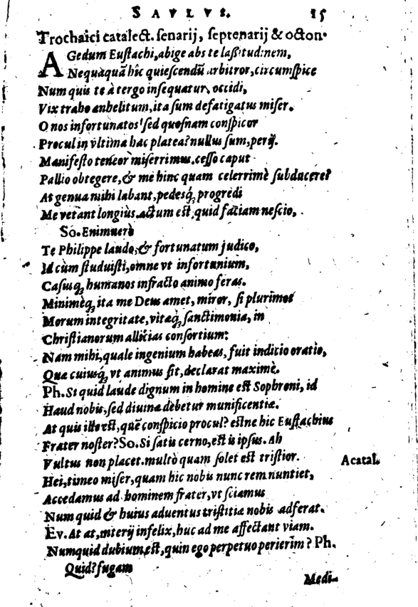 SchonaeusI1614415