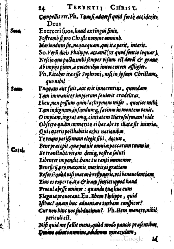 SchonaeusI1614424