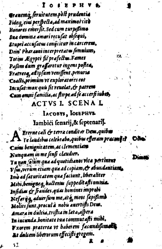 SchonaeusI1614503