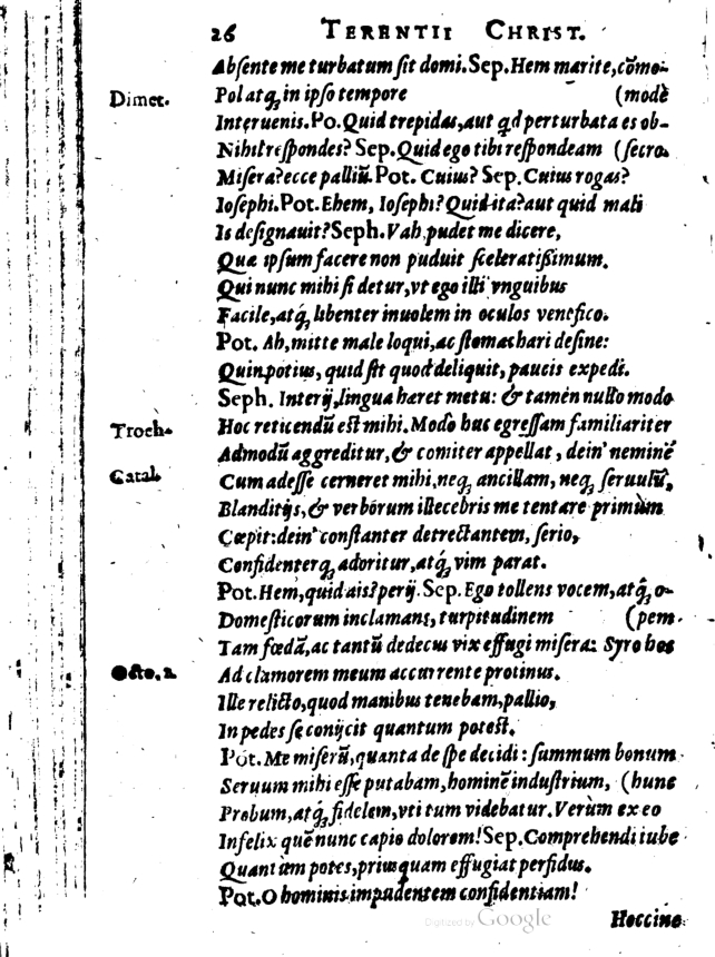 SchonaeusI1614526