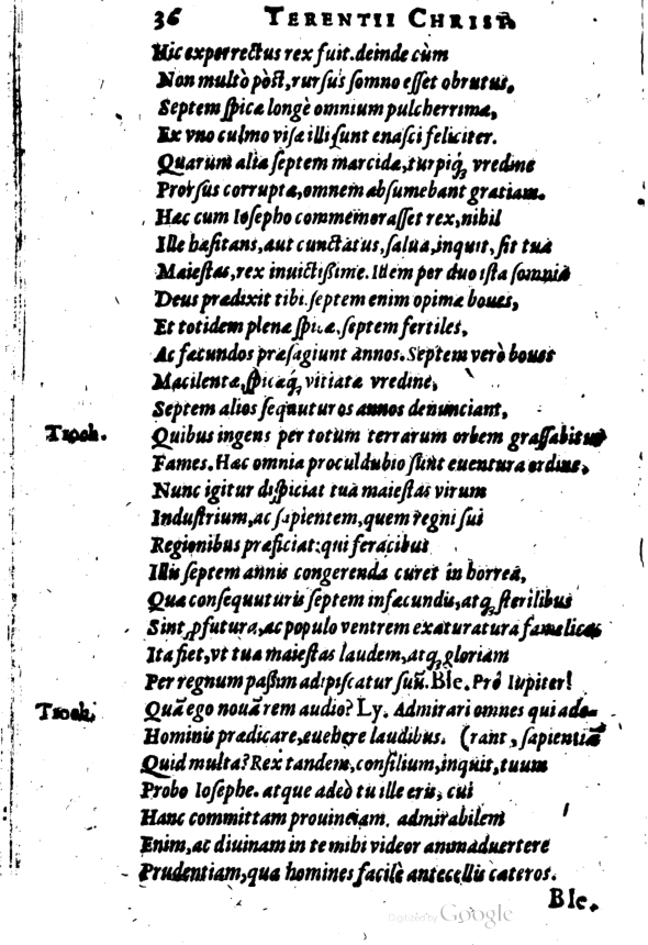 SchonaeusI1614536