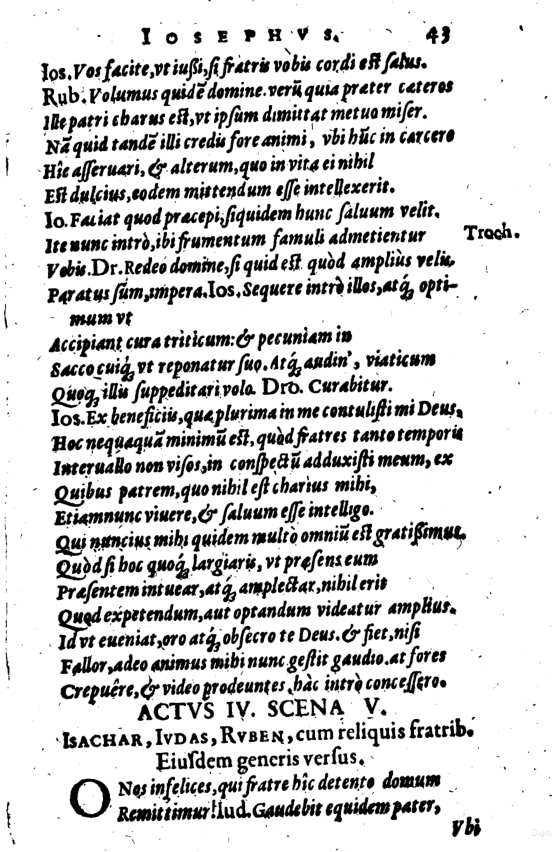 SchonaeusI1614543