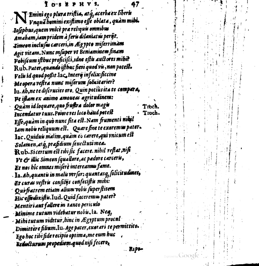 SchonaeusI1614547