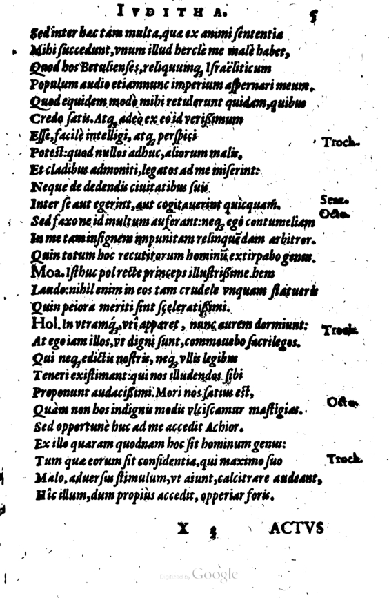 SchonaeusI1614605