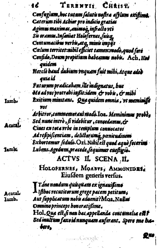 SchonaeusI1614616