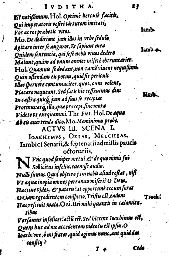 SchonaeusI1614623