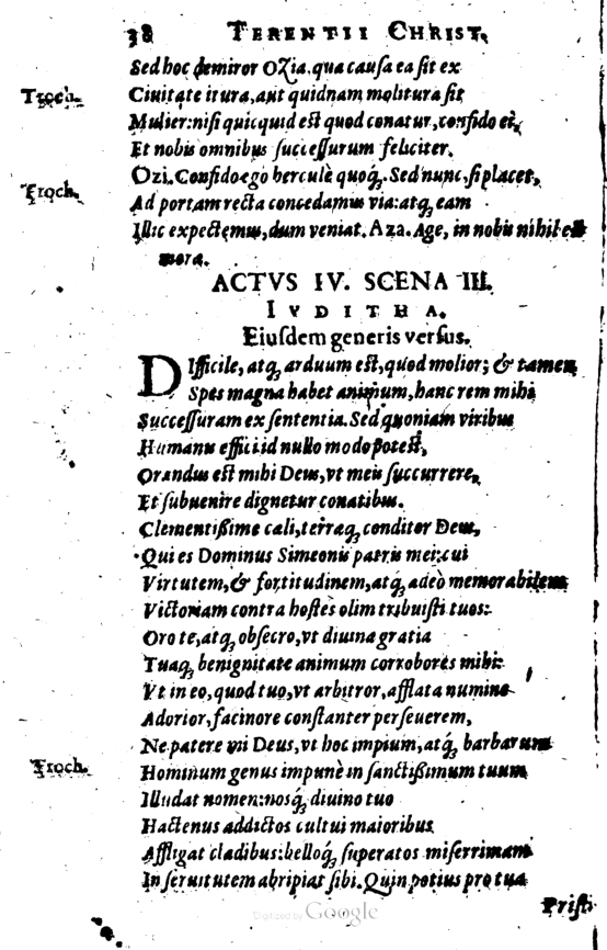 SchonaeusI1614638