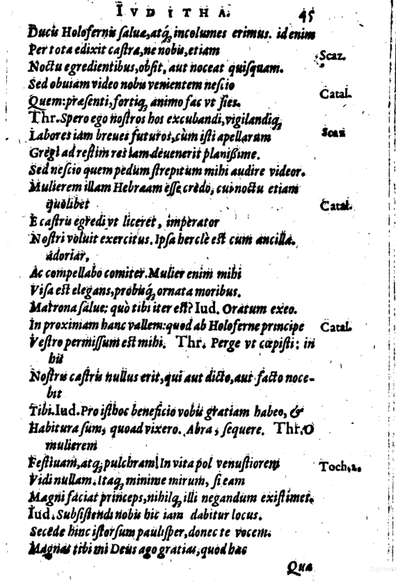 SchonaeusI1614645