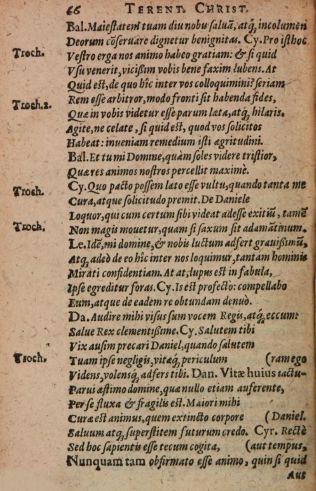 SchonaeusII16182066