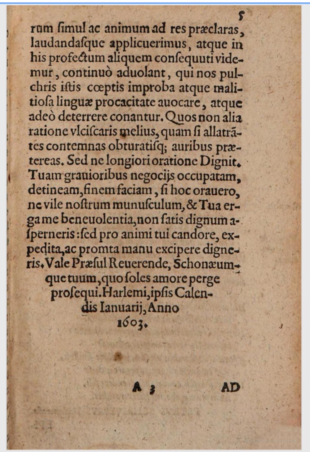 SchonaeusIII1618p005.jpg