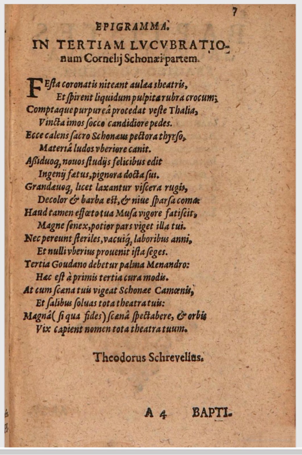 SchonaeusIII1618p007.jpg