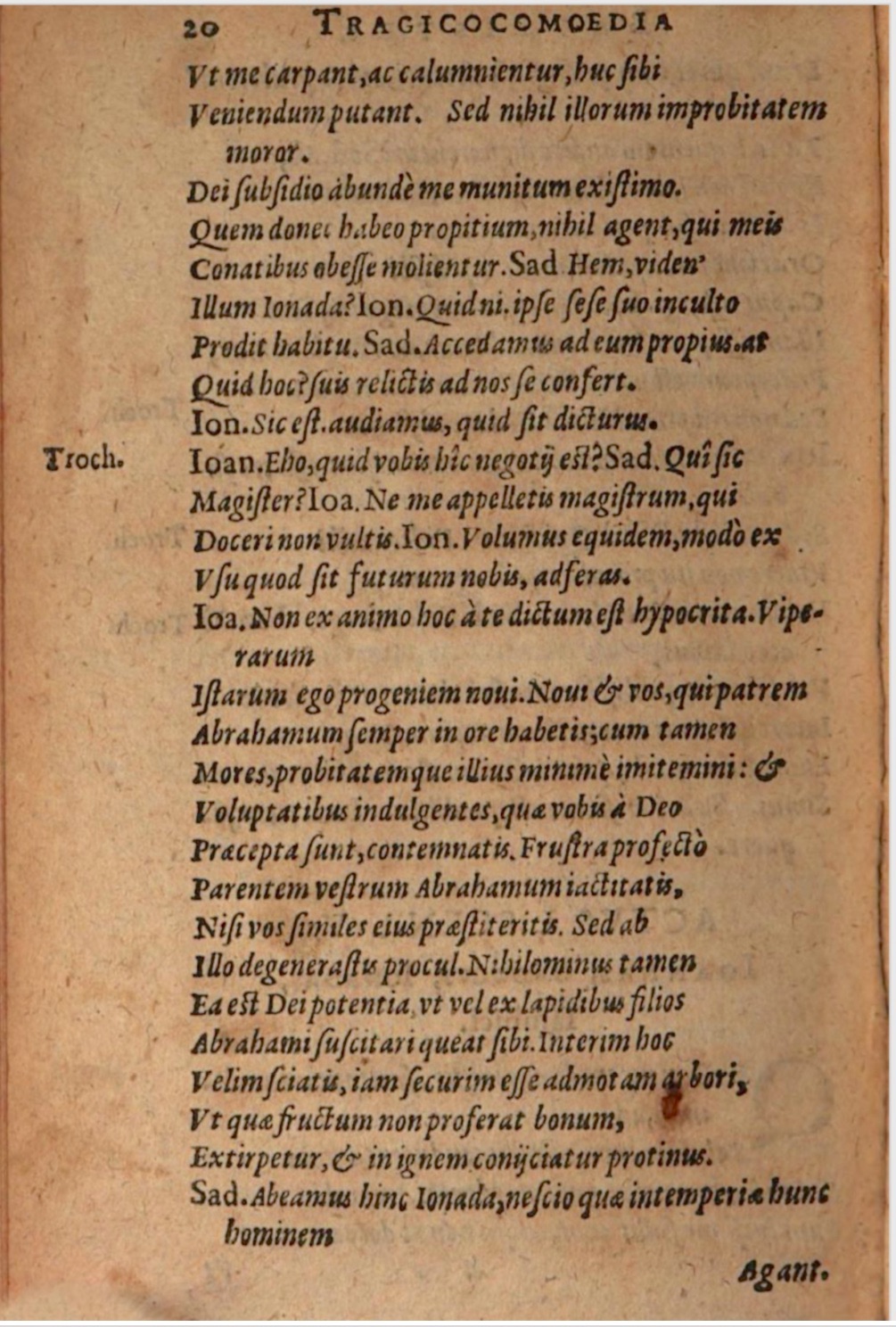 SchonaeusIII1618p020.jpg