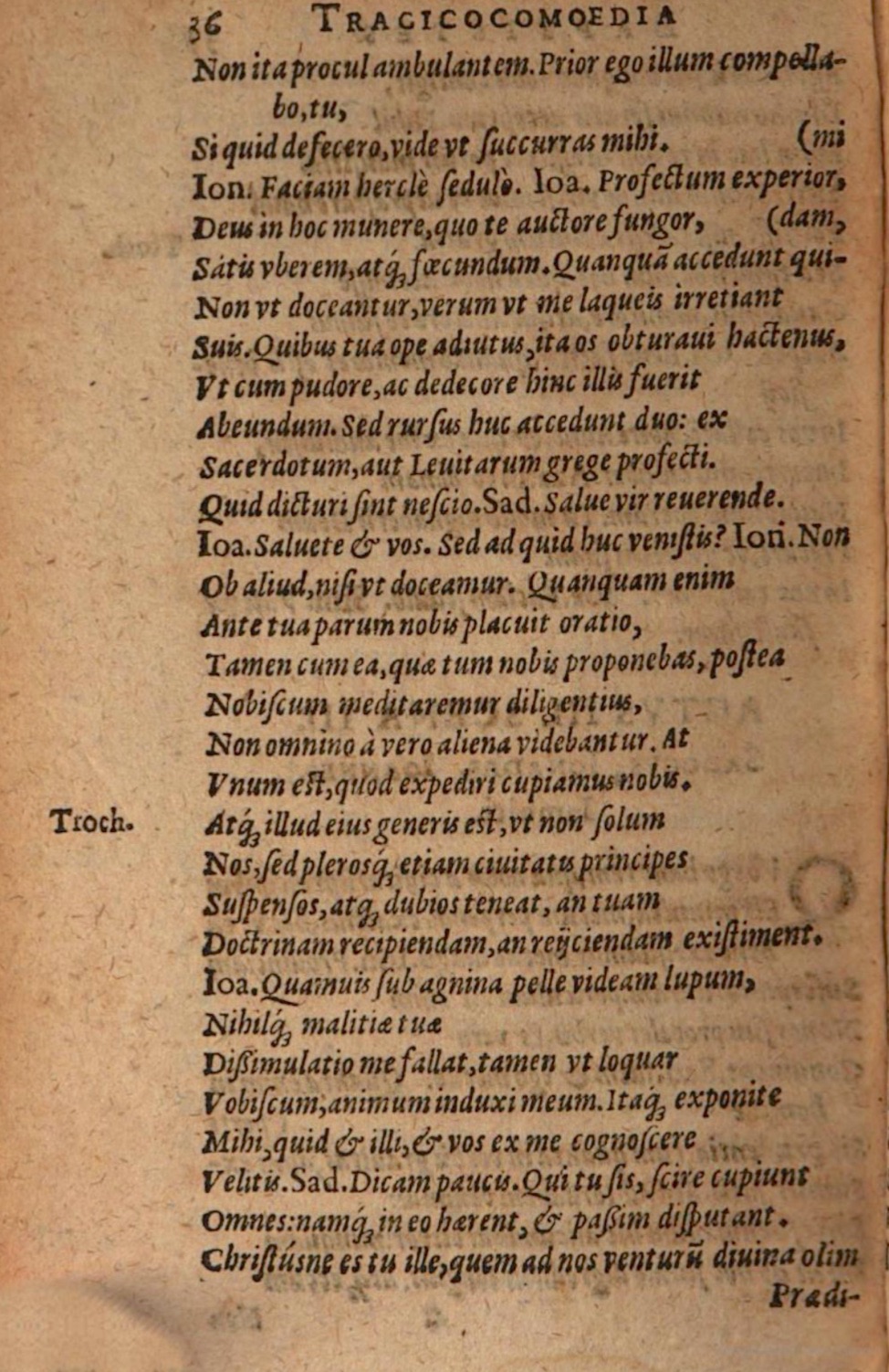 SchonaeusIII1618p034.jpg