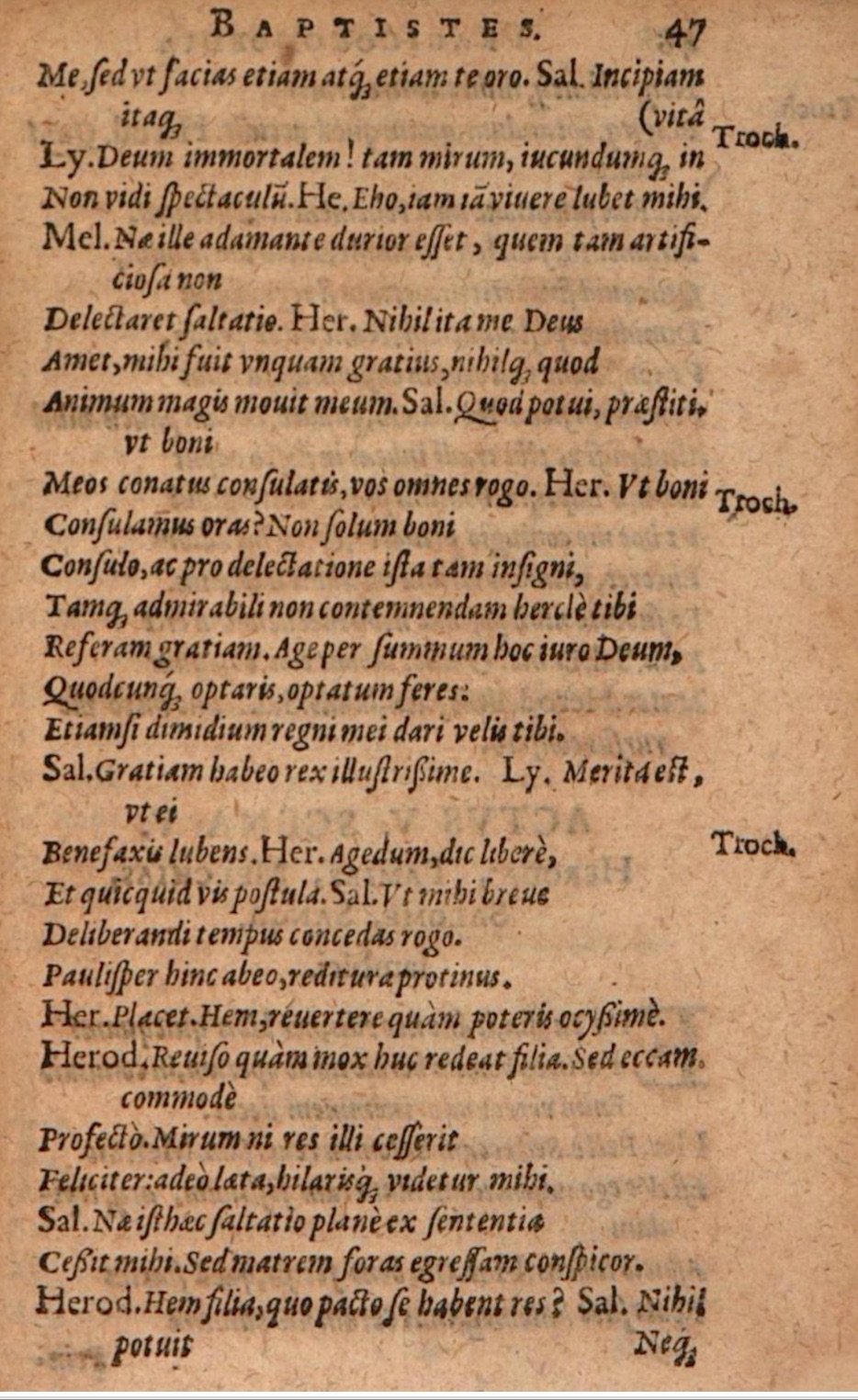 SchonaeusIII1618p047.jpg