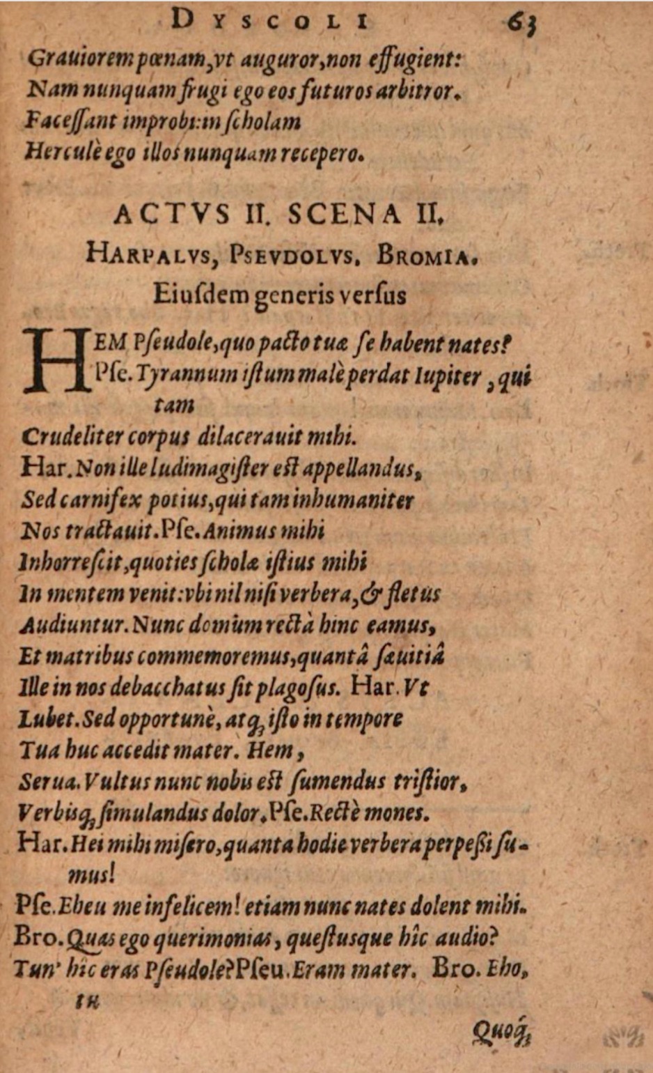 SchonaeusIII1618p063.jpg