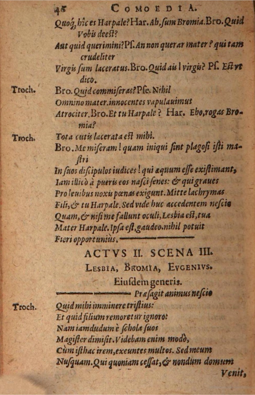 SchonaeusIII1618p064.jpg