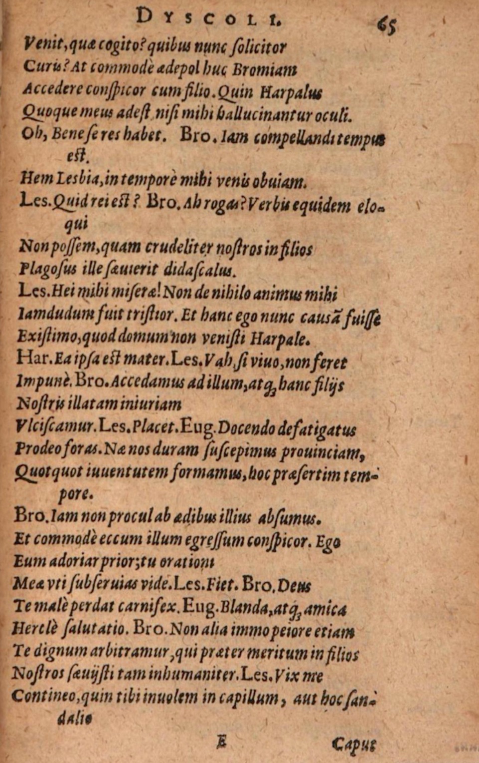 SchonaeusIII1618p065.jpg