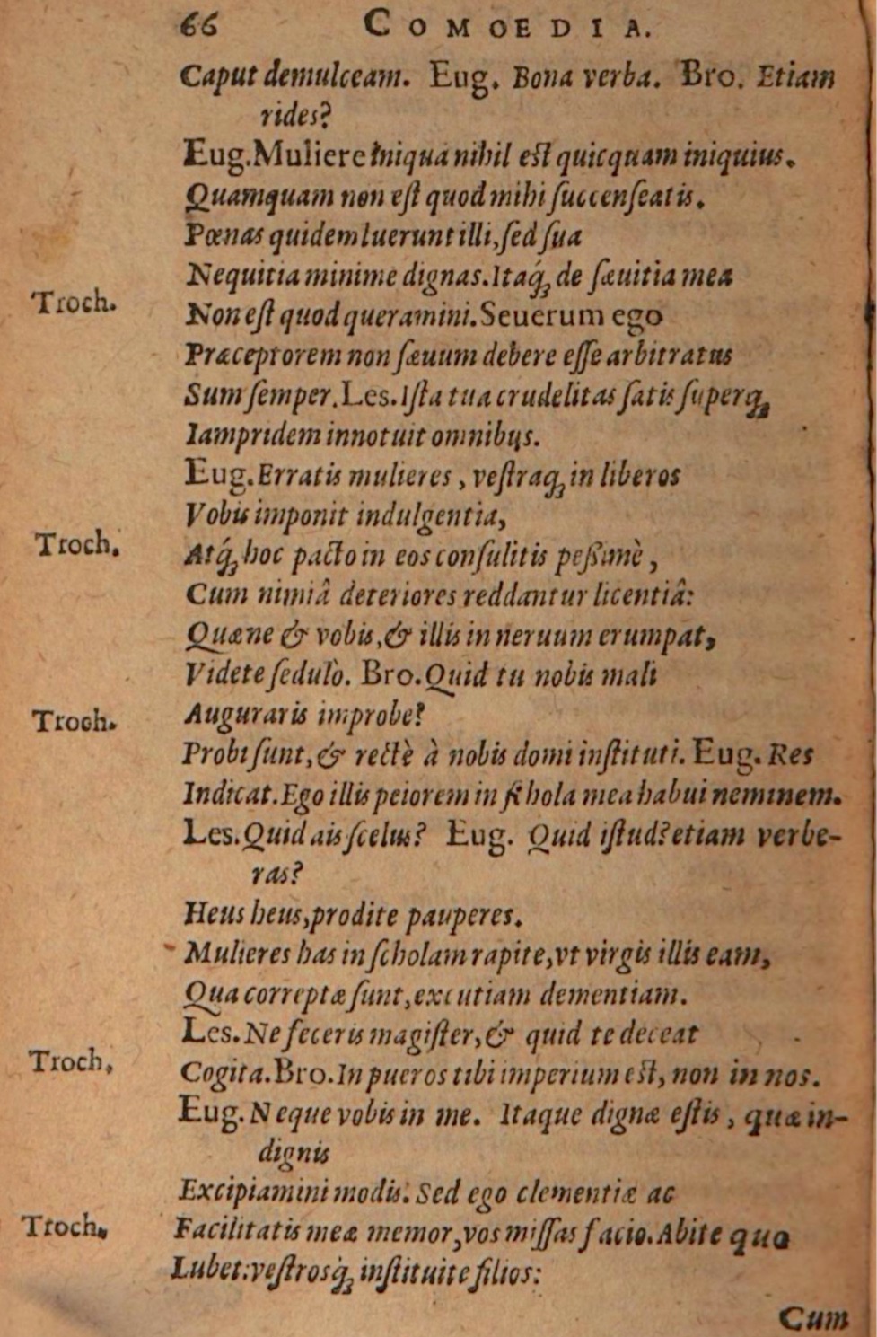 SchonaeusIII1618p066