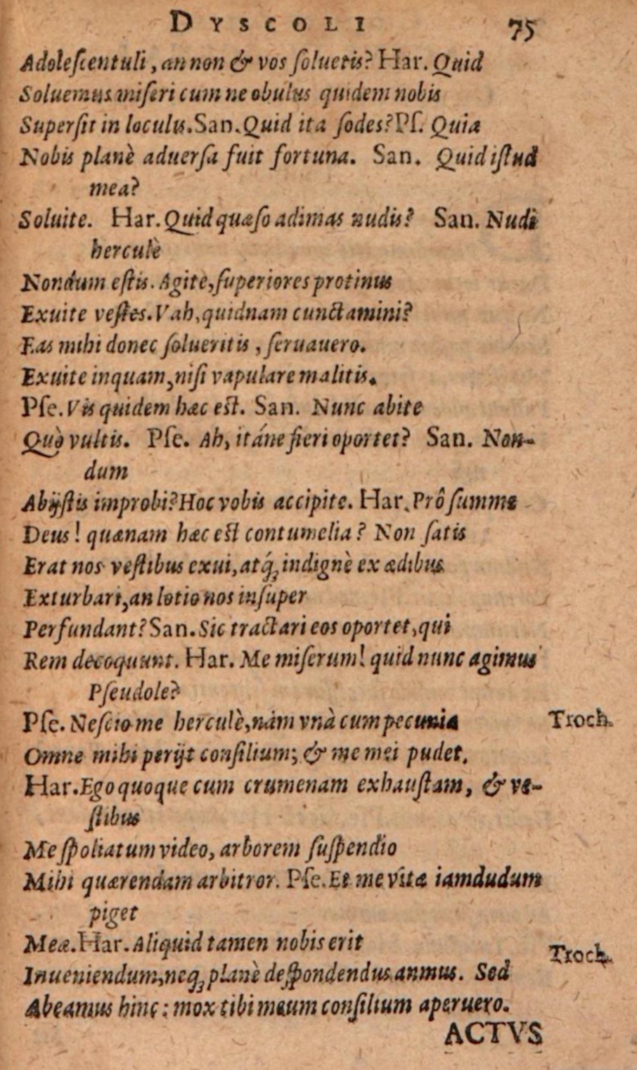 SchonaeusIII1618p075.jpg