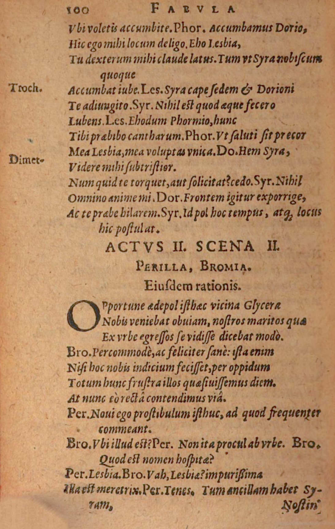 SchonaeusIII1618p100.jpg