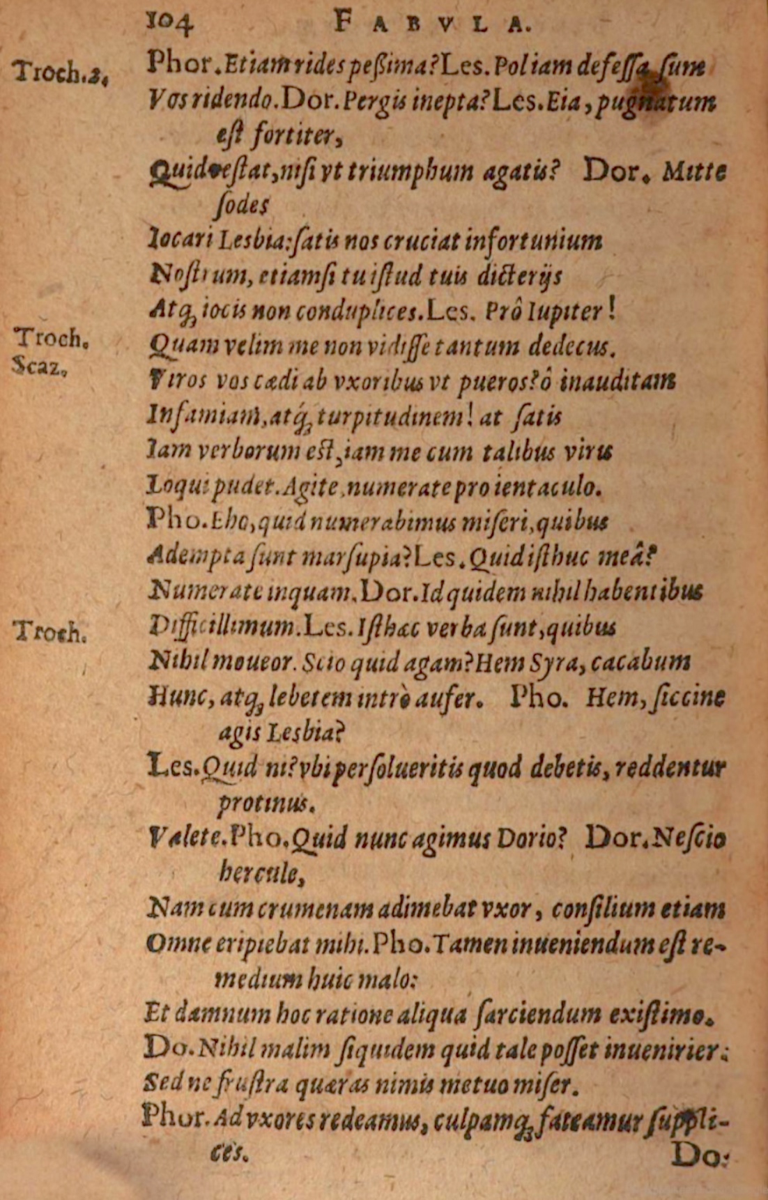 SchonaeusIII1618p104.jpg