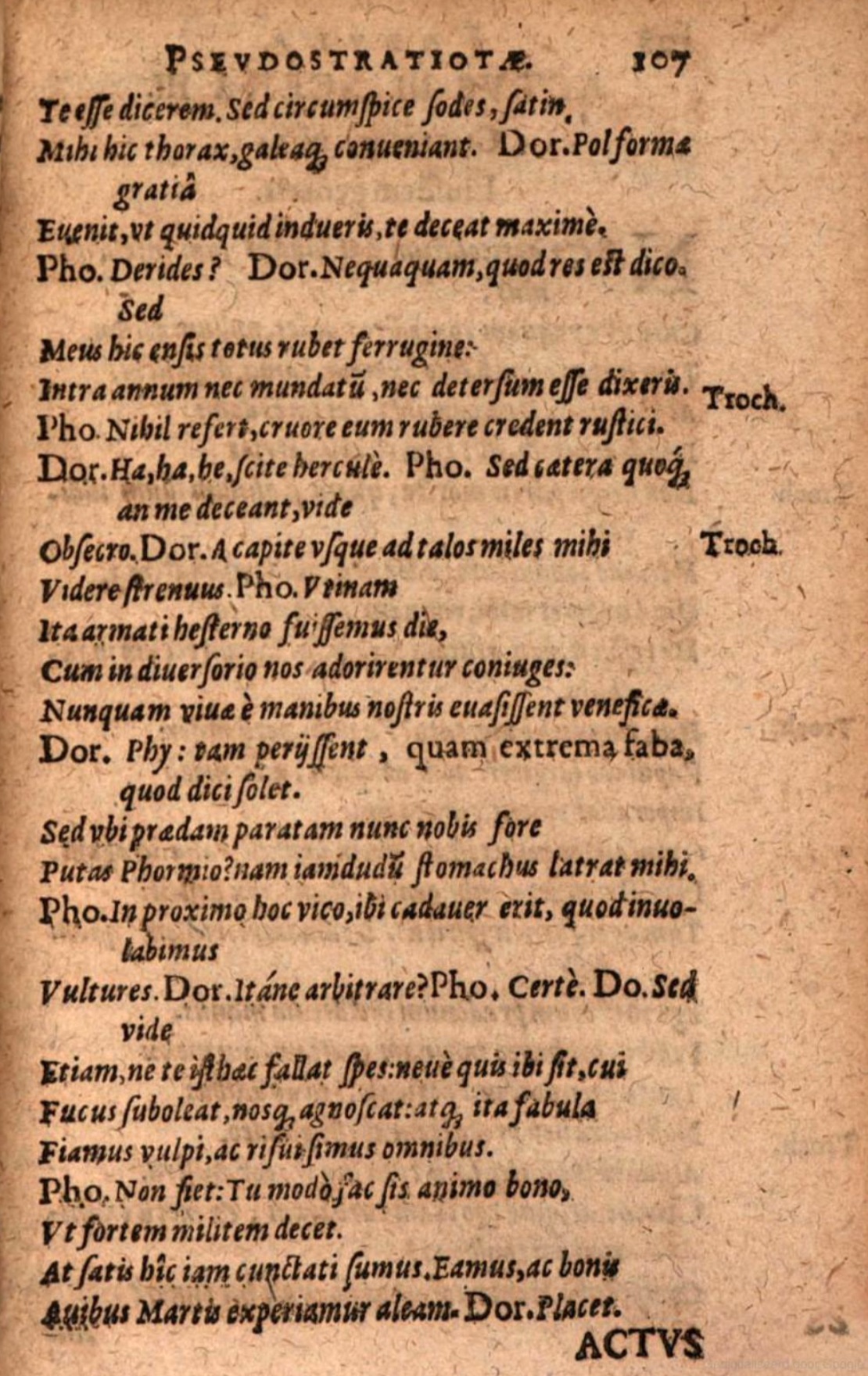 SchonaeusIII1618p107.jpg