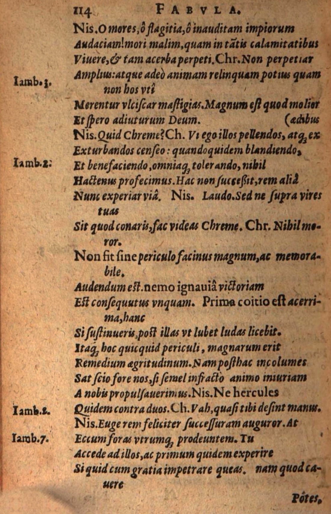 SchonaeusIII1618p114