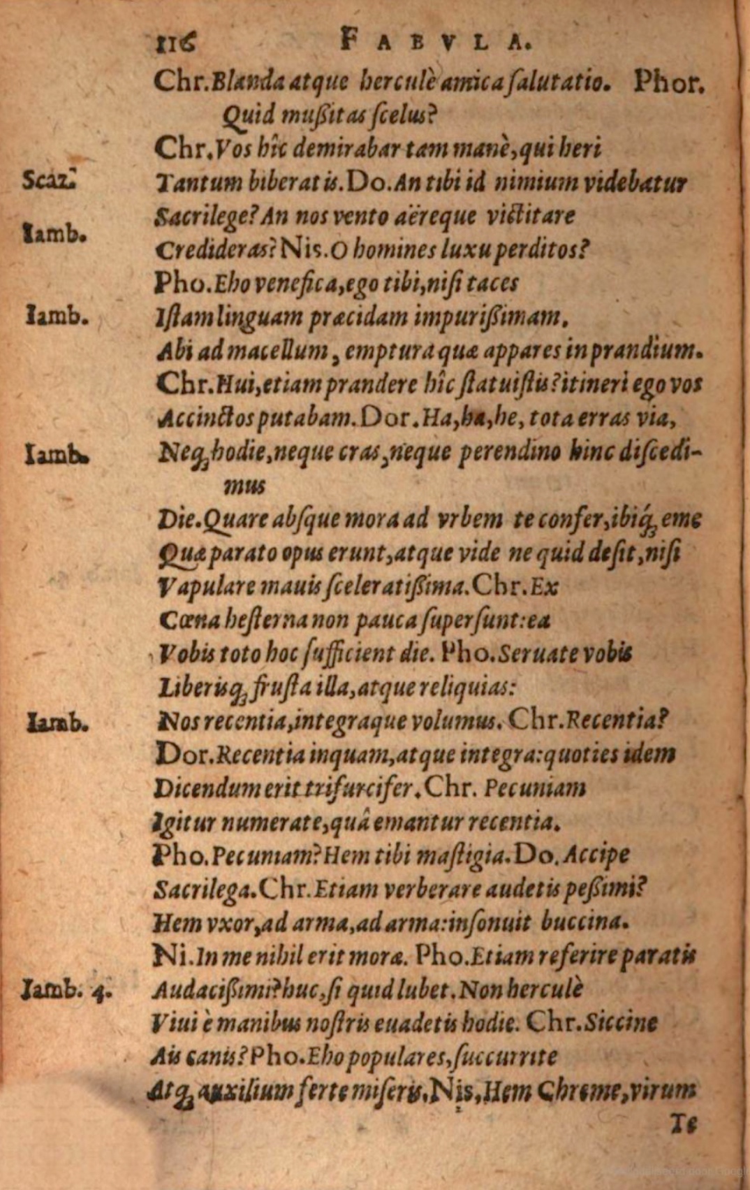 SchonaeusIII1618p116