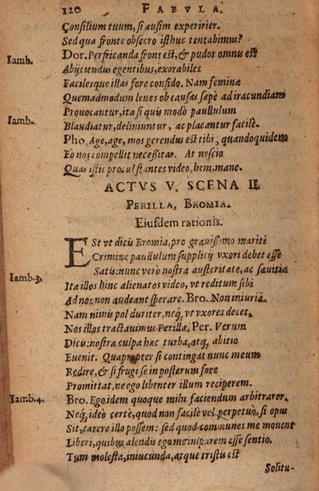 SchonaeusIII1618p120.jpg