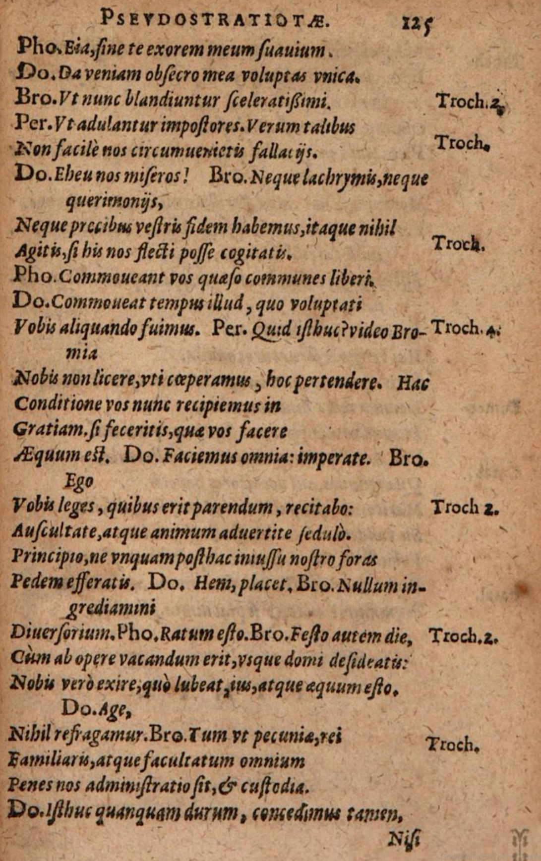 SchonaeusIII1618p125.jpg