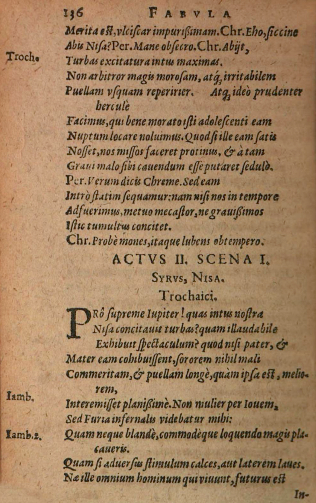 SchonaeusIII1618p136.jpg