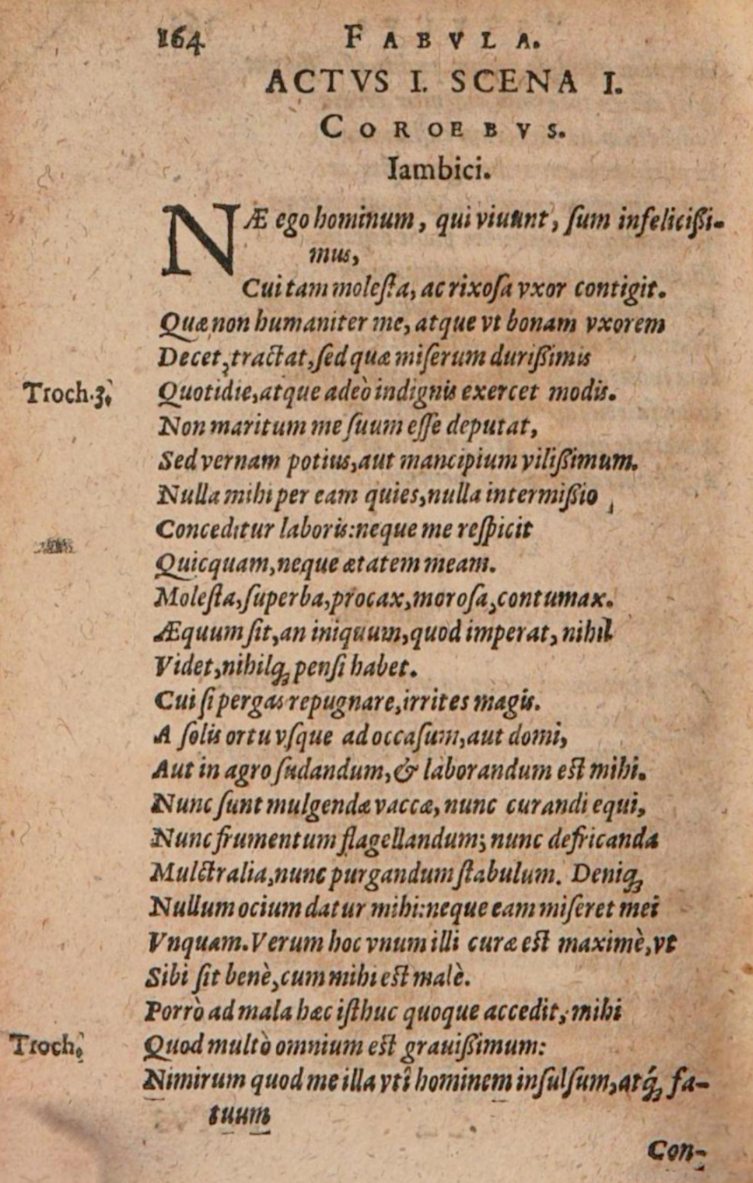 SchonaeusIII1618p164.jpg