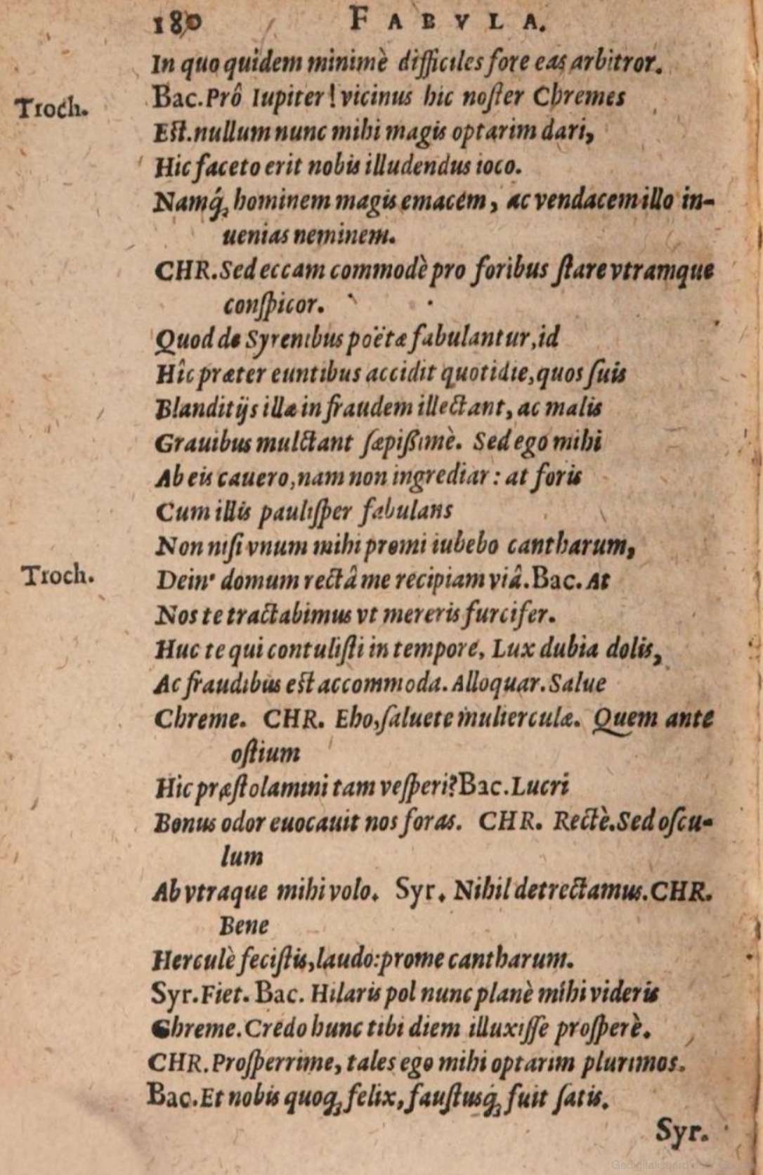 SchonaeusIII1618p180.jpg