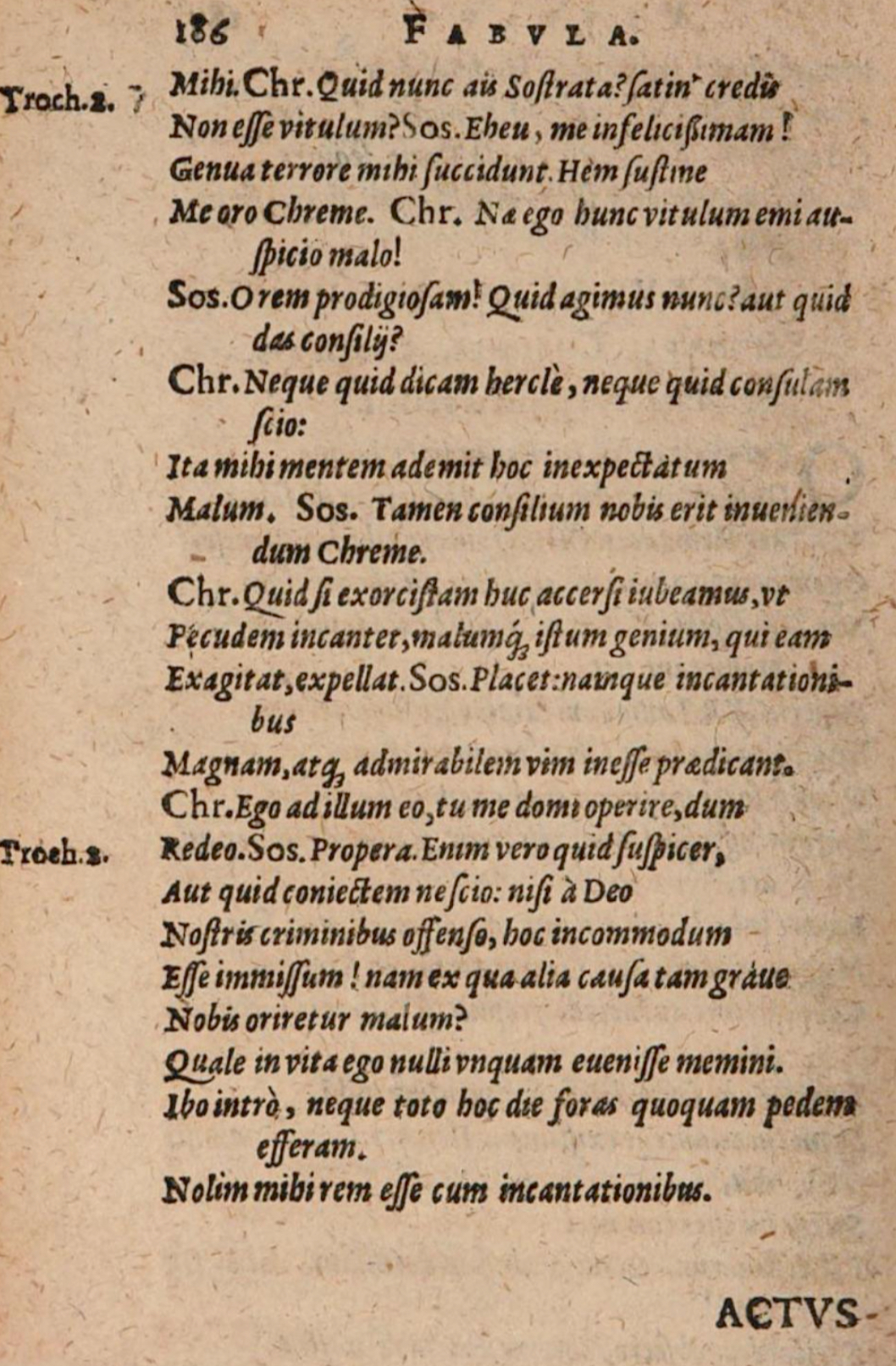 SchonaeusIII1618p186.jpg