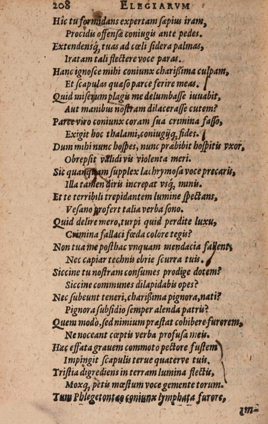 SchonaeusIII1618p208.jpg