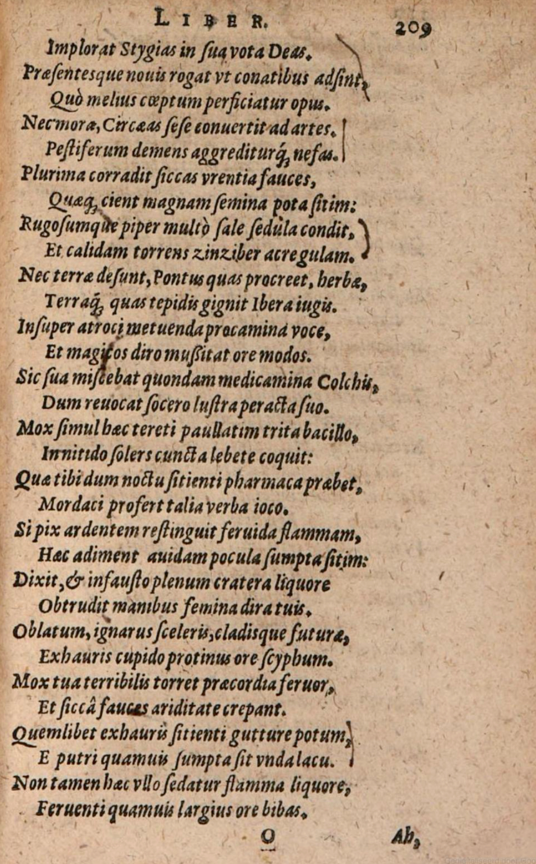 SchonaeusIII1618p209.jpg