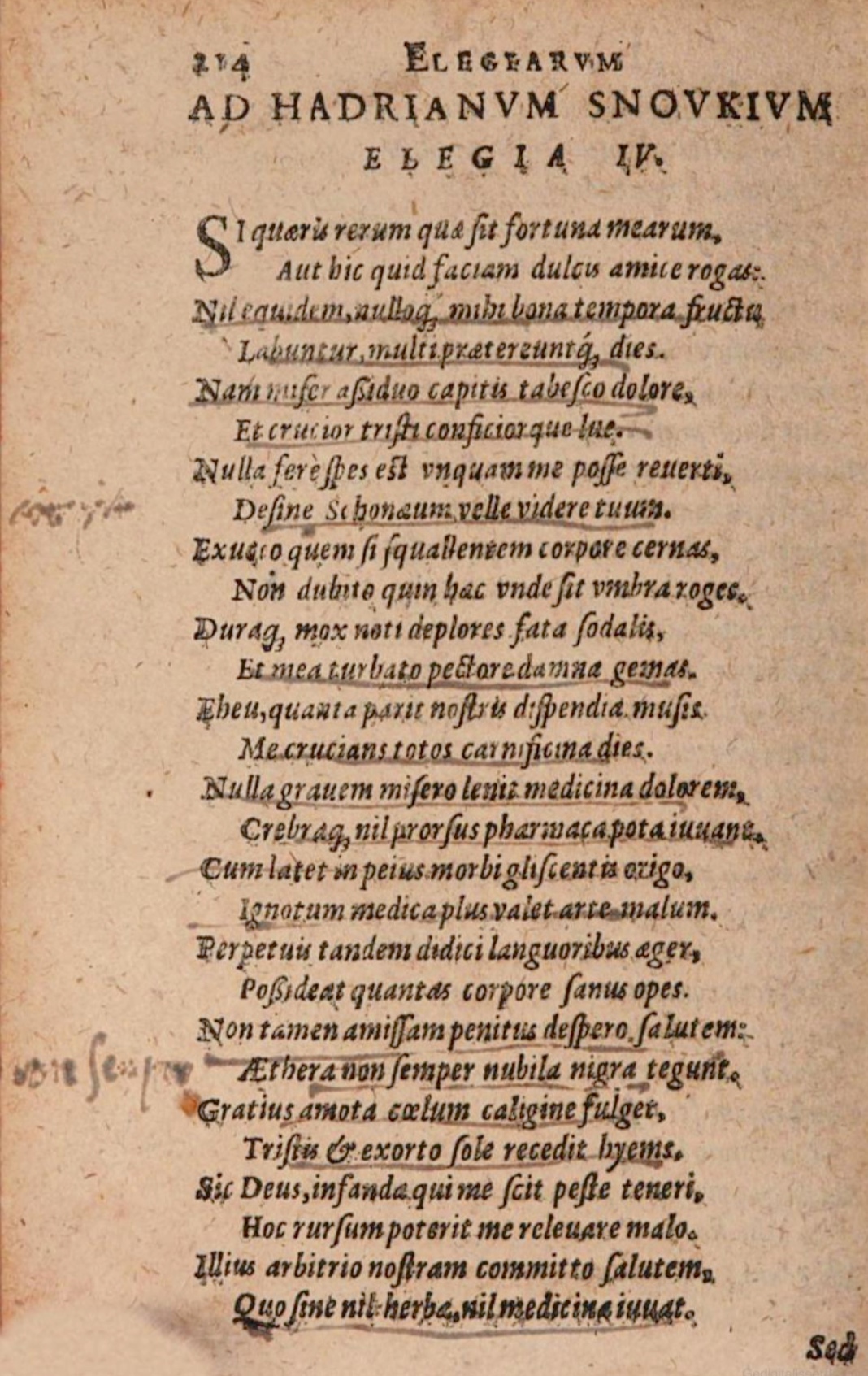 SchonaeusIII1618p214.jpg