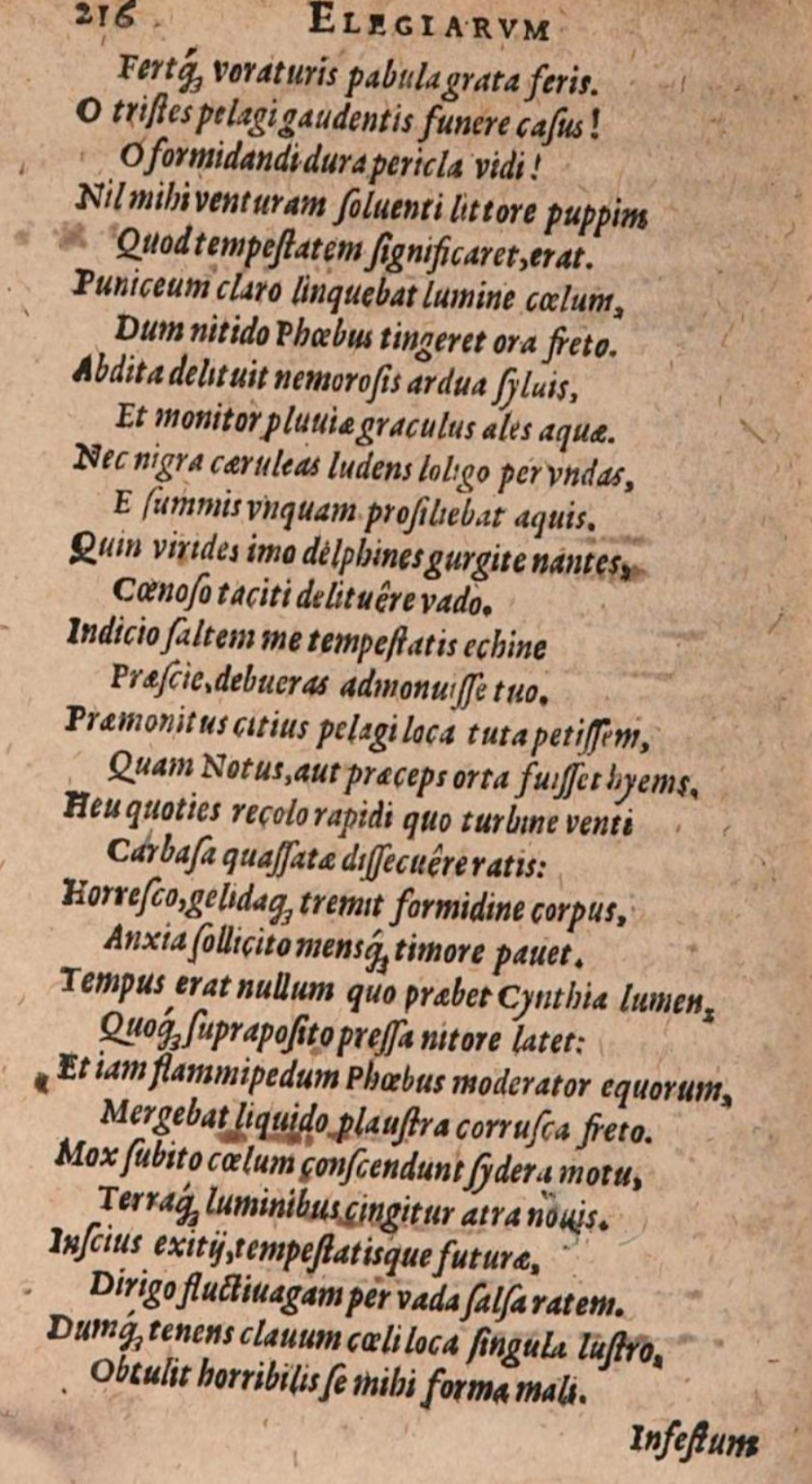 SchonaeusIII1618p216