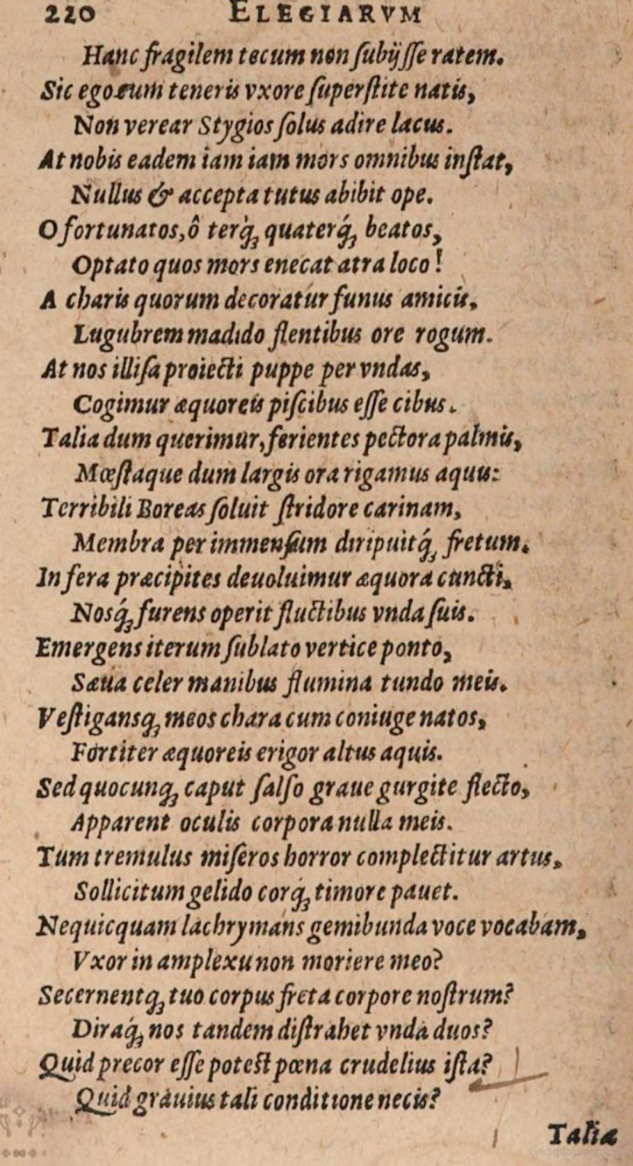 SchonaeusIII1618p220.jpg