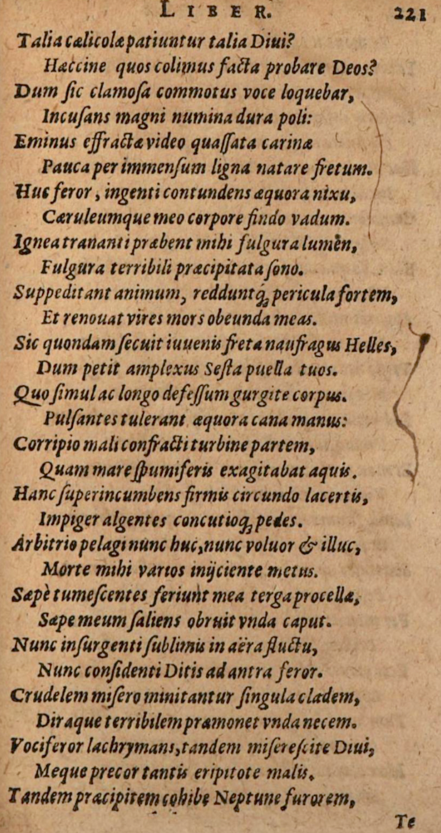 SchonaeusIII1618p221.jpg