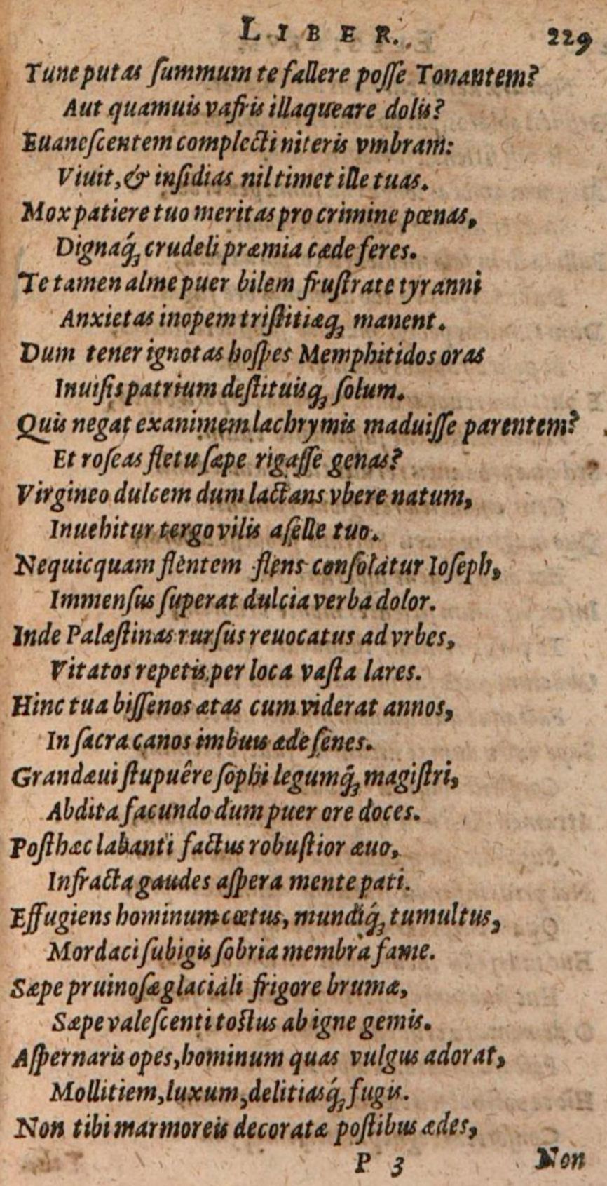 SchonaeusIII1618p229