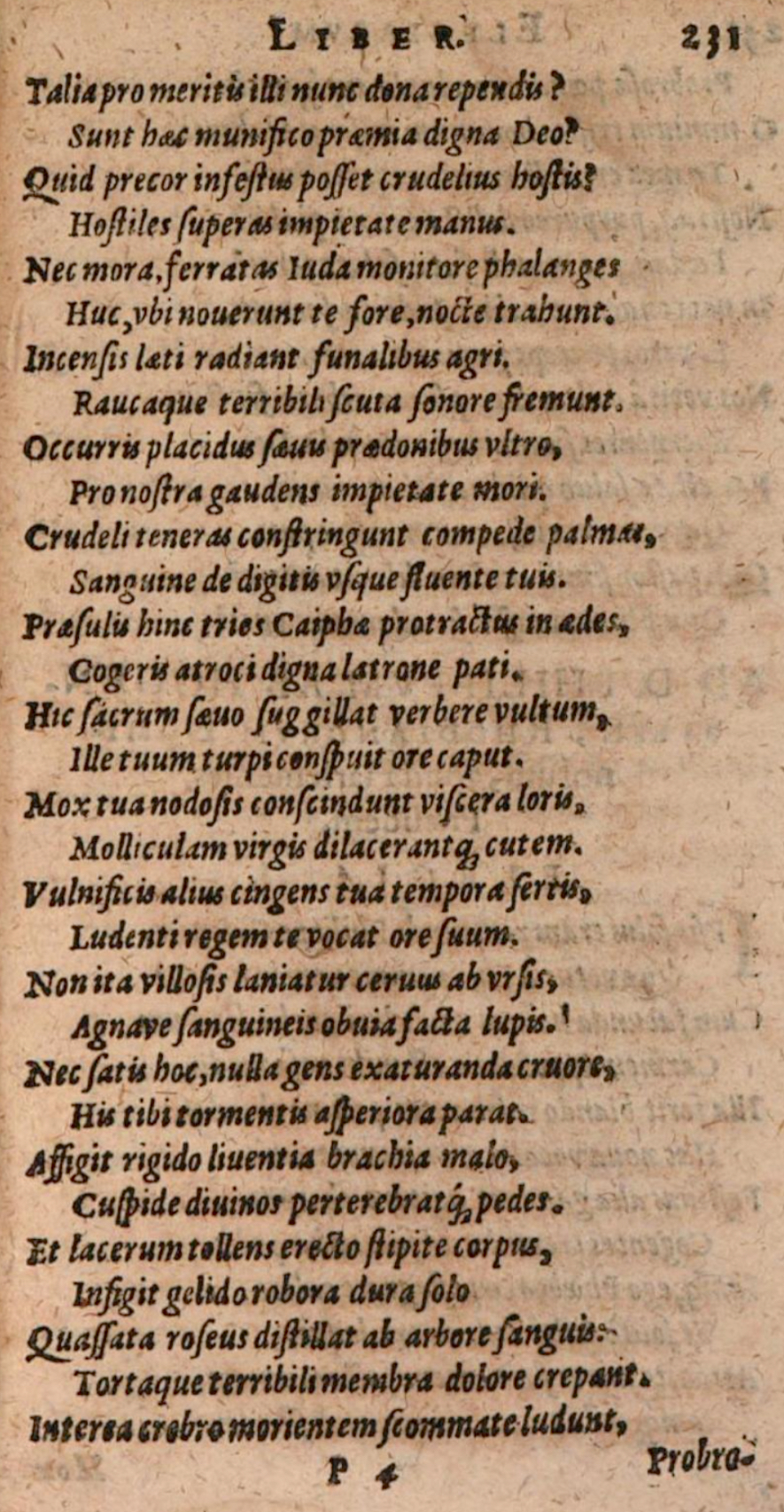 SchonaeusIII1618p231