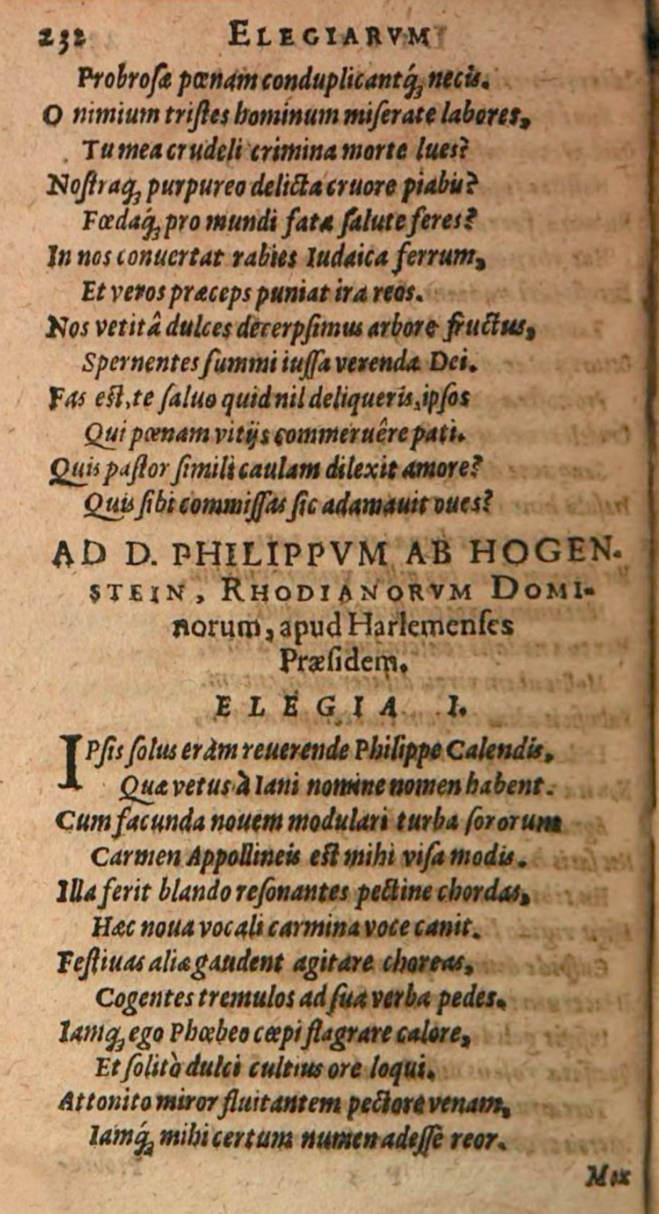 SchonaeusIII1618p232.jpg